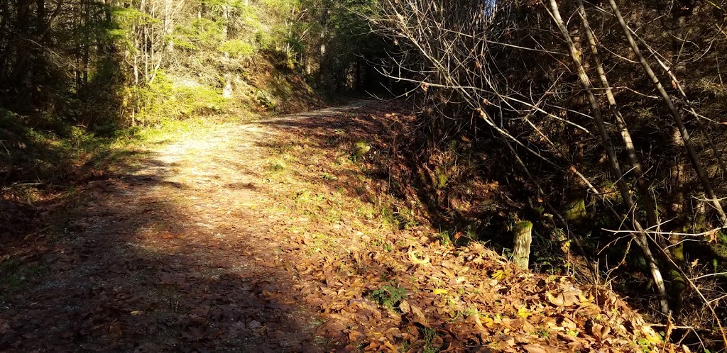 Alger Alp Trail | Bellingham, WA 98229, USA