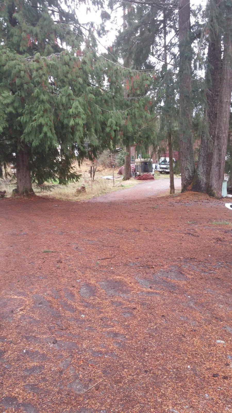 Chris Long Roofing | 1606 McKibben Rd, Errington, BC V0R 1V0, Canada | Phone: (250) 240-5494
