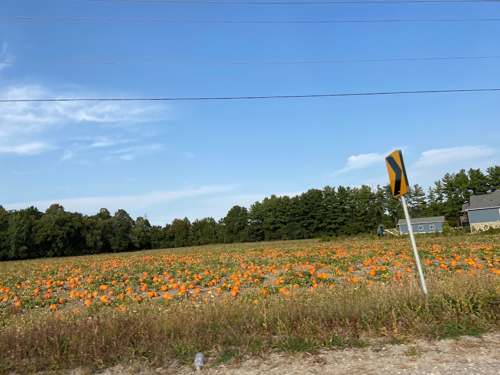 True Colours Farm | 939 Norfolk County Rd 19, Wilsonville, ON N0E 1Z0, Canada | Phone: (519) 443-0036