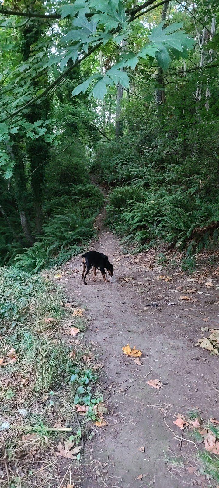 Dog Off Leash Area | Unnamed Road, Nanaimo, BC V9S 1V6, Canada | Phone: (250) 756-5200