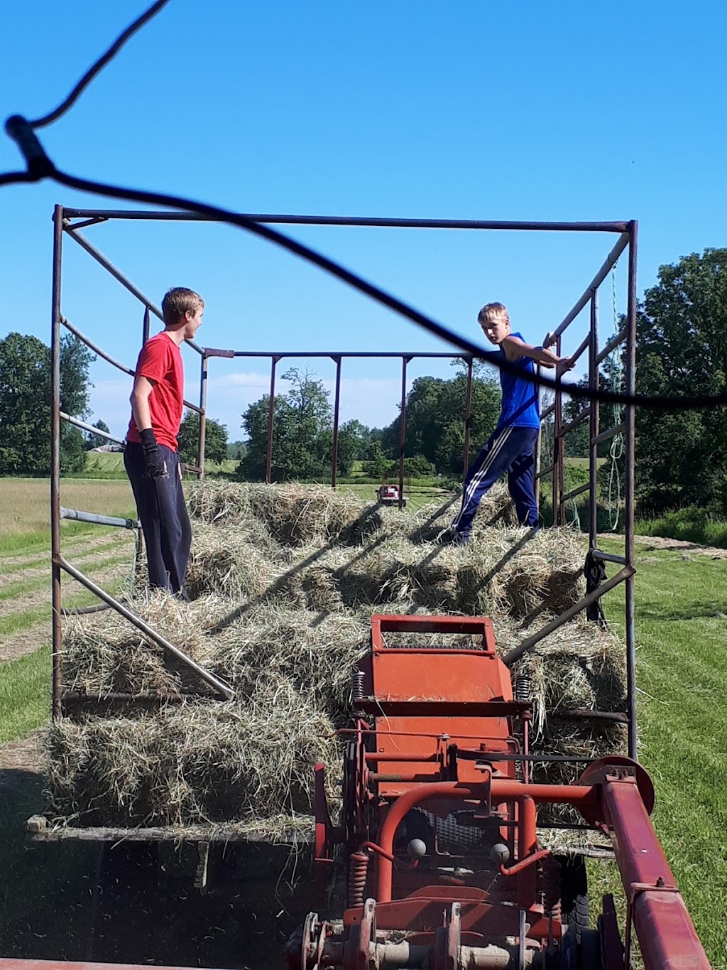 Tuppenney Farm | 257 McQuay Rd, Yarker, ON K0K 3N0, Canada | Phone: (613) 358-5800
