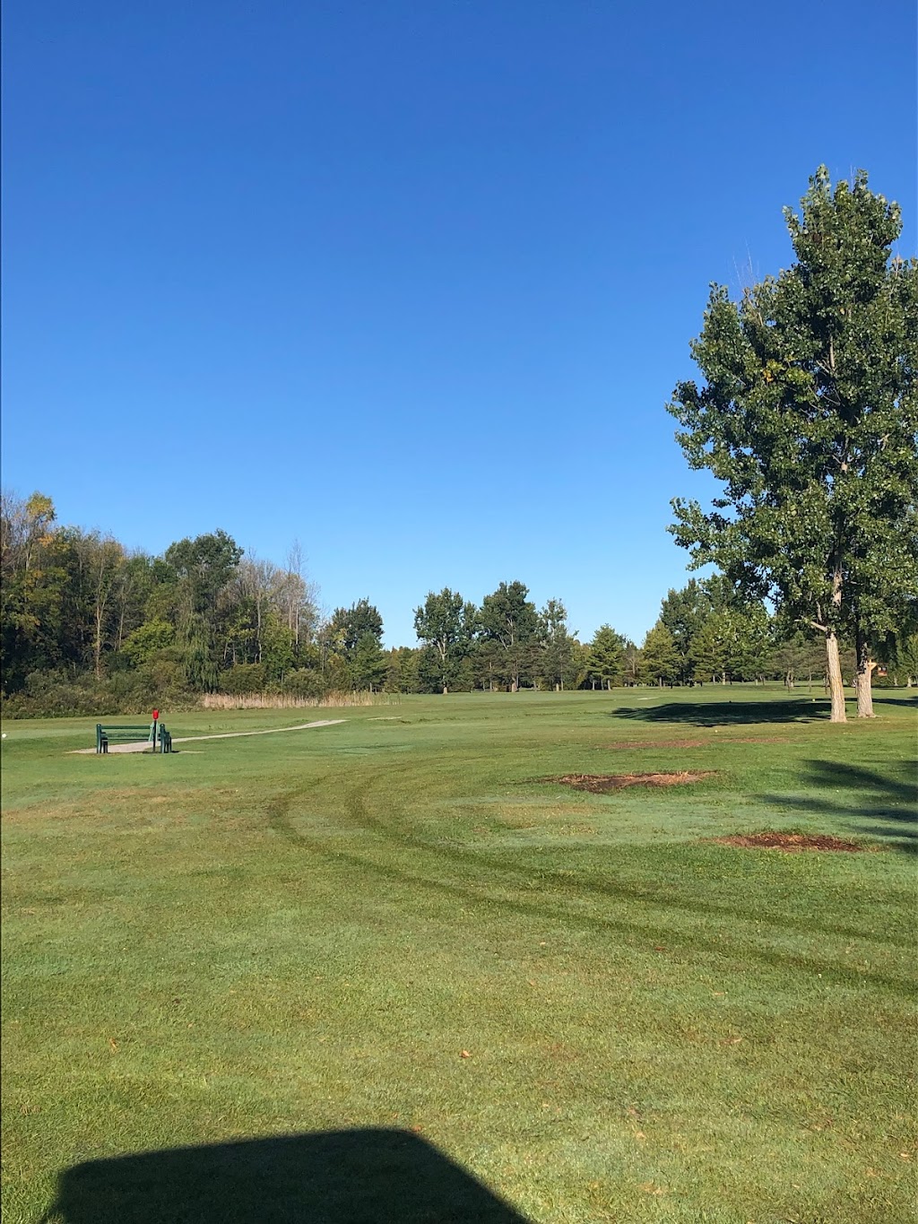 Cedarhurst Golf Club | 825 Thorah, Concession Rd 4, Beaverton, ON L0K 1A0, Canada | Phone: (705) 426-7521