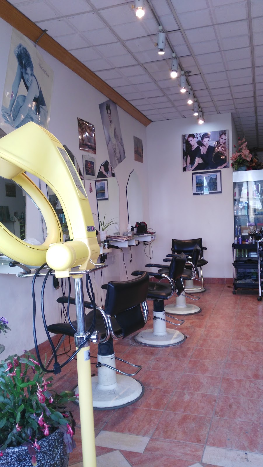 A & S Hair Salon | 8390 Kennedy Rd, Unionville, ON L3R 0W4, Canada | Phone: (647) 909-3622