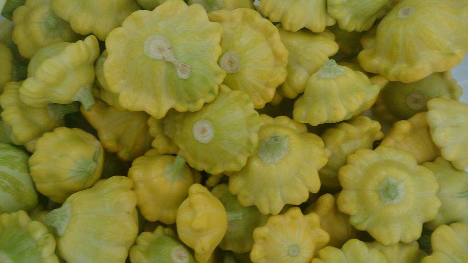 Les Jardinets de la Paysanne | 100 Rang des Chênes, Saint-Samuel, QC G0Z 1G0, Canada | Phone: (819) 358-0345