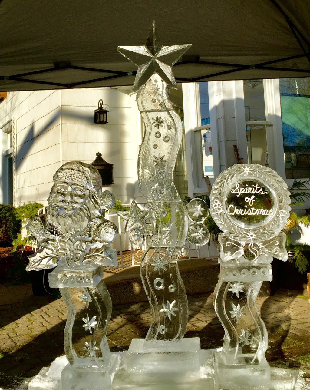 Ice Sculptures By Ross Navarro | 6670 Wills St, Niagara Falls, ON L2J 1Y3, Canada | Phone: (905) 371-2712