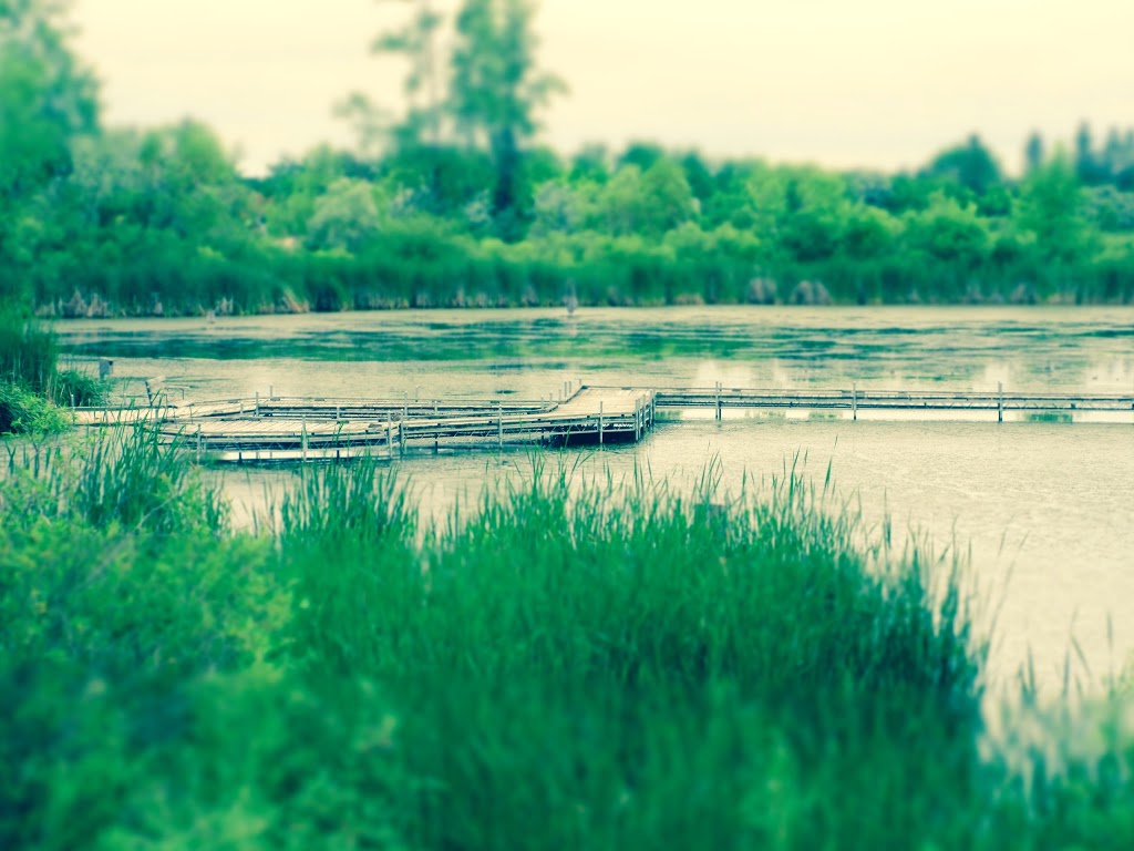 Wetland Boardwalk Trail | southwest, Winnipeg Ave, Winnipeg, MB R3P, Canada