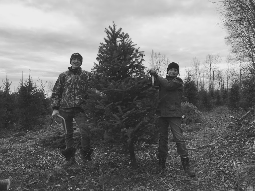 Produits Agricoles Famille Ouellette | 75 Rang 2 de Gravel, Ferme-Neuve, QC J0W 1C0, Canada | Phone: (819) 587-4013