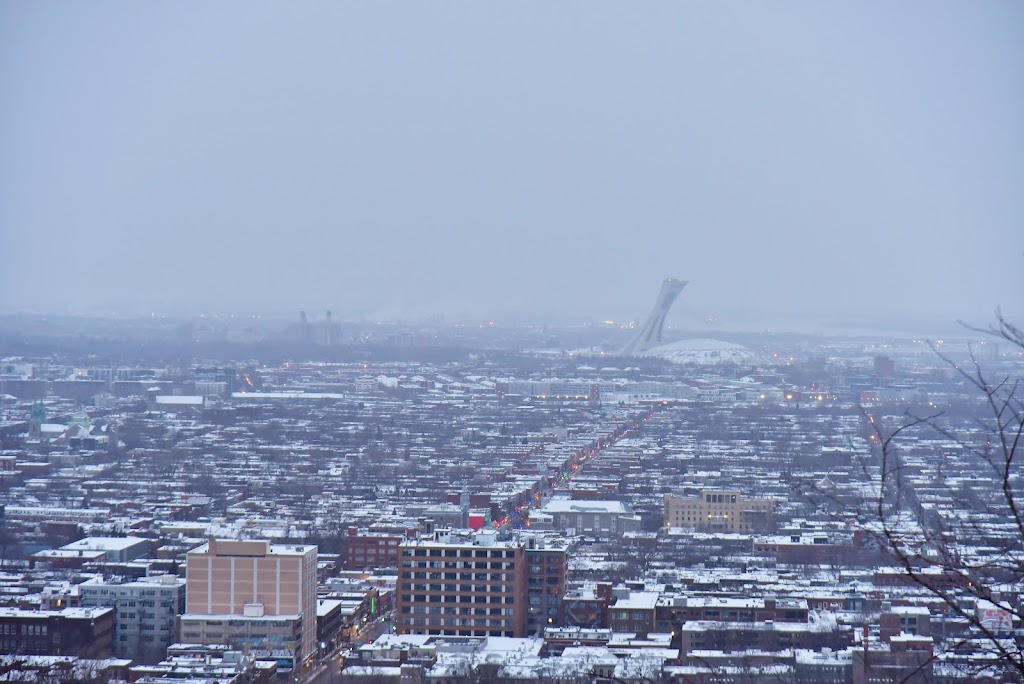 Terrain 275 | 1576 Voie Camillien-Houde, Montréal, QC H2W 1S8, Canada | Phone: (514) 868-3737