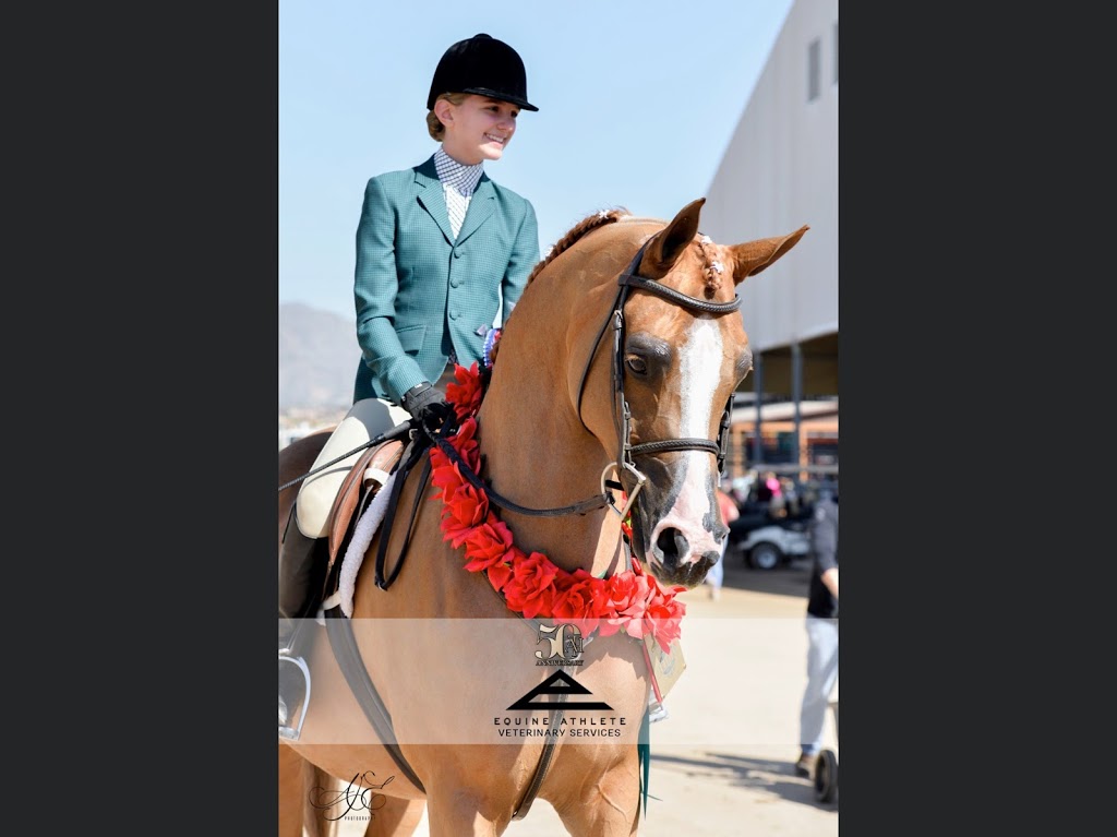 Chavez Custon Clothier | 19 Reid’s Ridge, Oro-Medonte, ON L0K 1N0, Canada | Phone: (612) 750-2251