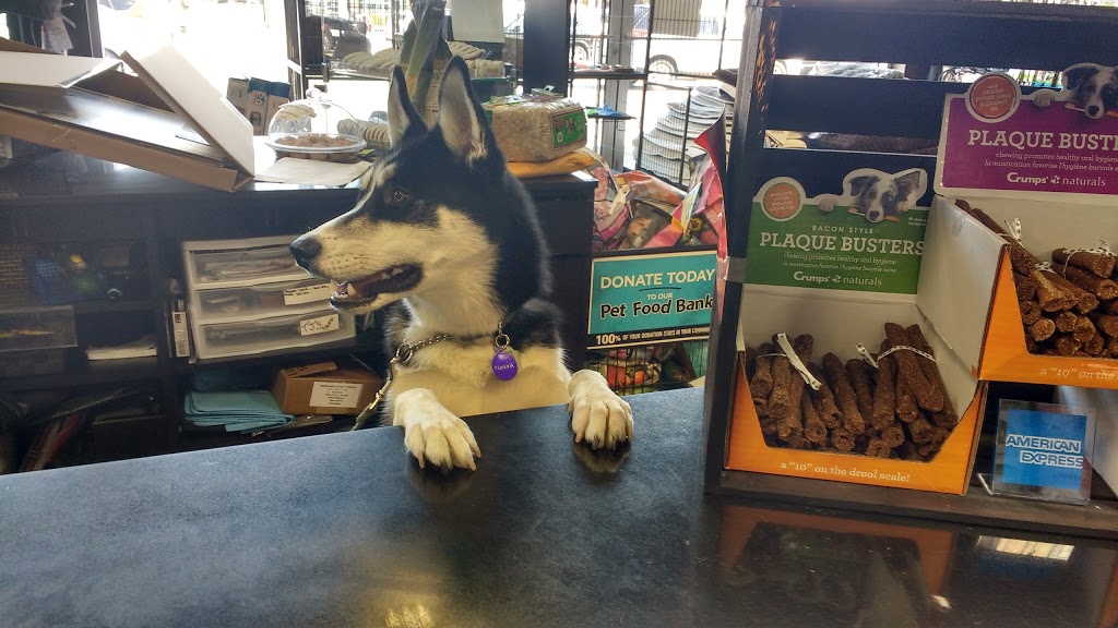 Pet Valu | 5949 Baldwin St S, Whitby, ON L1M 2J7, Canada | Phone: (905) 655-1704