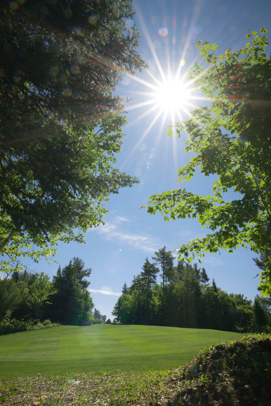 Le Rituel | 967 Montée Dalton, Gatineau, QC J8R 3C5, Canada | Phone: (819) 669-9797 ext. 105