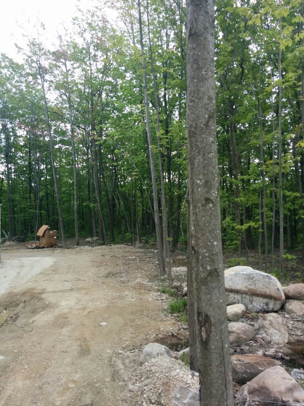Georgian Bay Developments | 174 Blueski George Crescent, The Blue Mountains, ON L9Y 0T5, Canada | Phone: (705) 888-0601