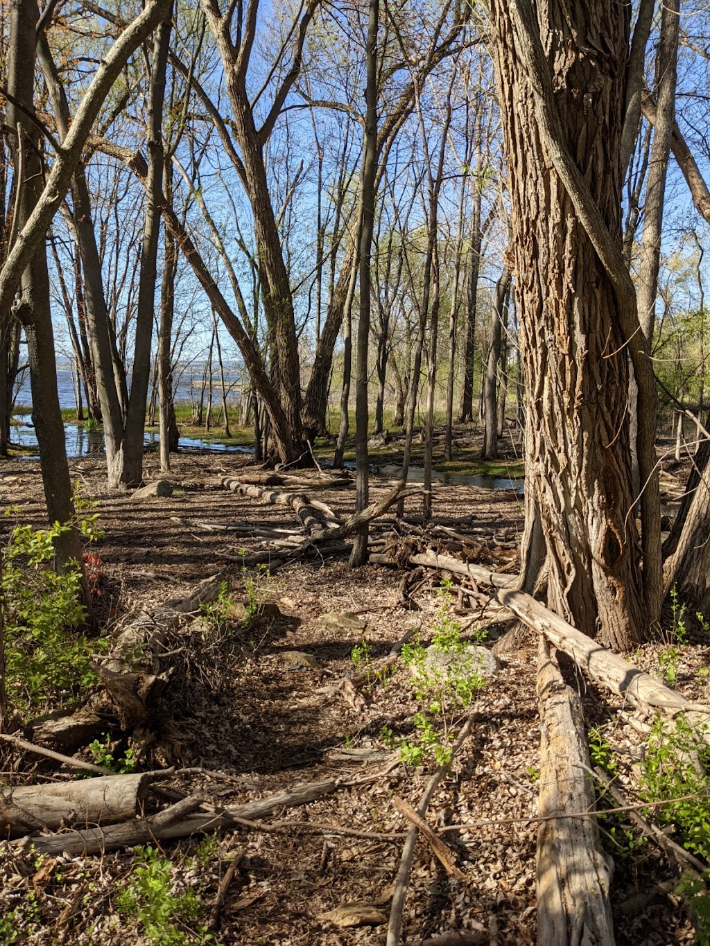 Out to Play Farm and Forest School | Davidsons Side Road, Ottawa, ON K2K 2Z4, Canada | Phone: (819) 318-0759