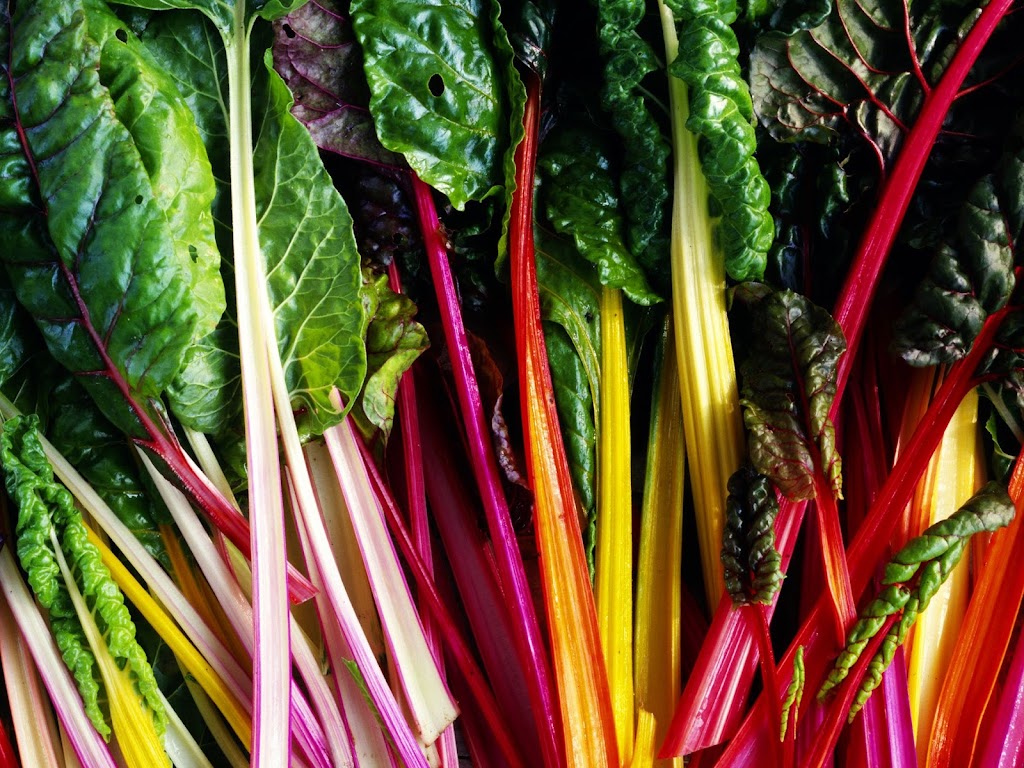 Rockyosa Produce | 24122 TWP RD 341 SW23 41 24 W4, Clive, AB T0C 0Y0, Canada | Phone: (587) 282-0408