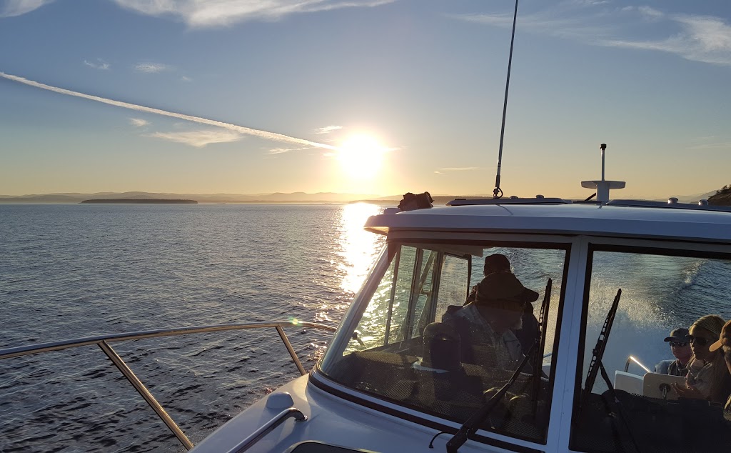Mayas Legacy Whale Watching | #14 Cannery Landing 8507, Friday Harbor, WA 98250, USA | Phone: (360) 378-7996