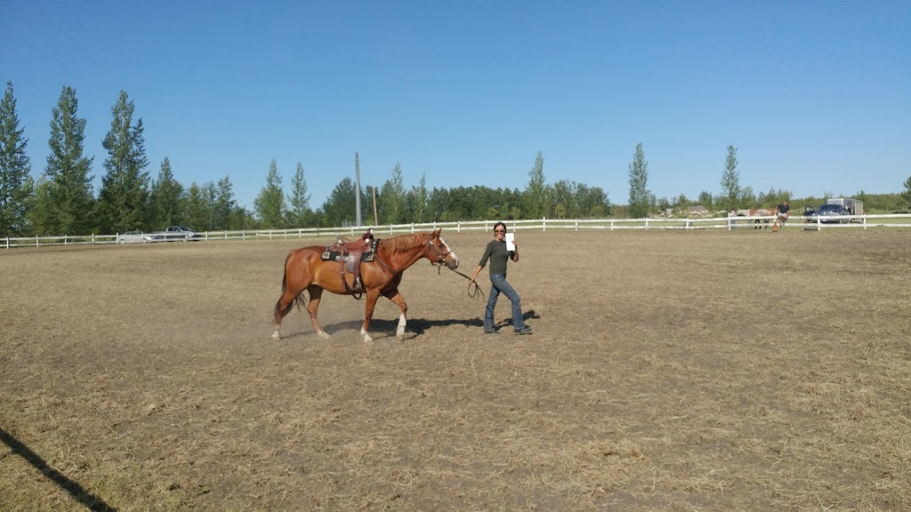 Radisson Communiplex | 501 William St, Radisson, SK S0K 3L0, Canada | Phone: (306) 827-2051