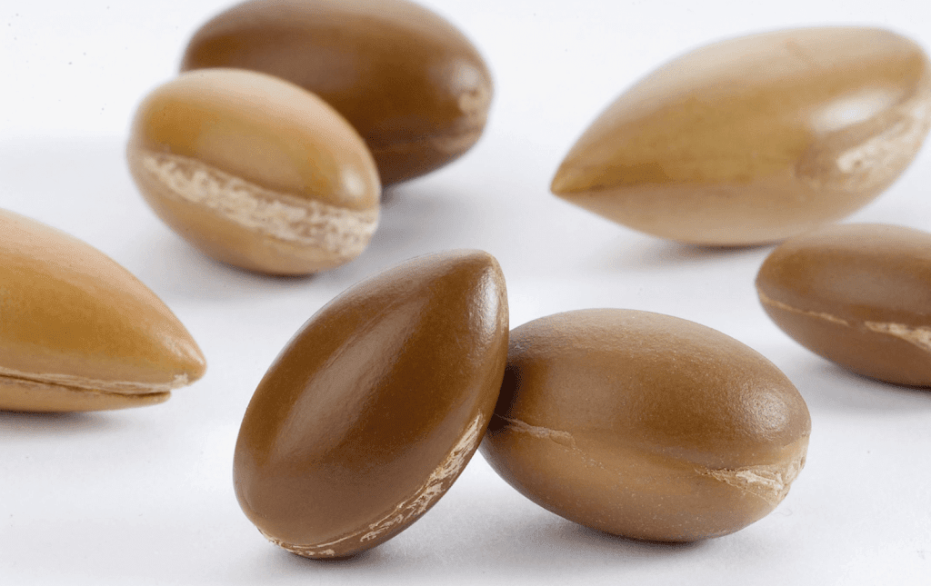 Argan Essential Oils | 10852 Valley Springs Rd NW, Calgary, AB T3B 5R1, Canada