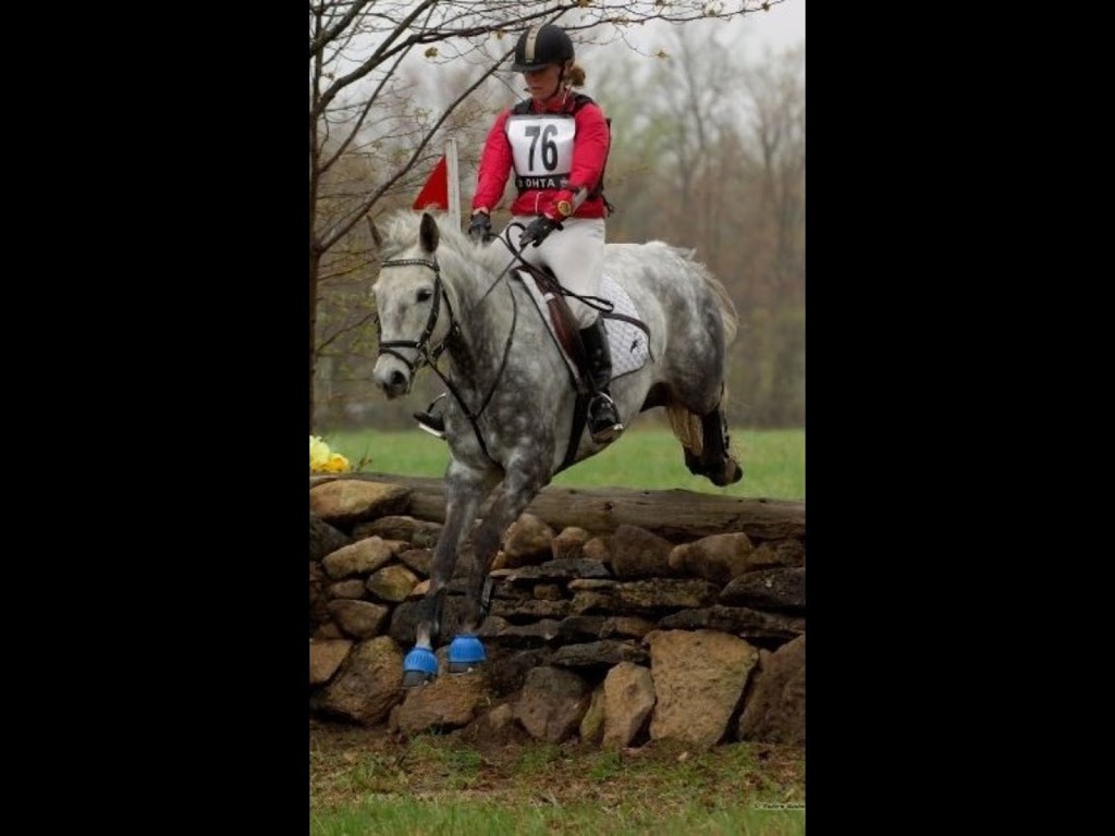 Pinegrove Farm | 2622 Ronald Rd, Minesing, ON L0L 1Y0, Canada | Phone: (705) 331-5616