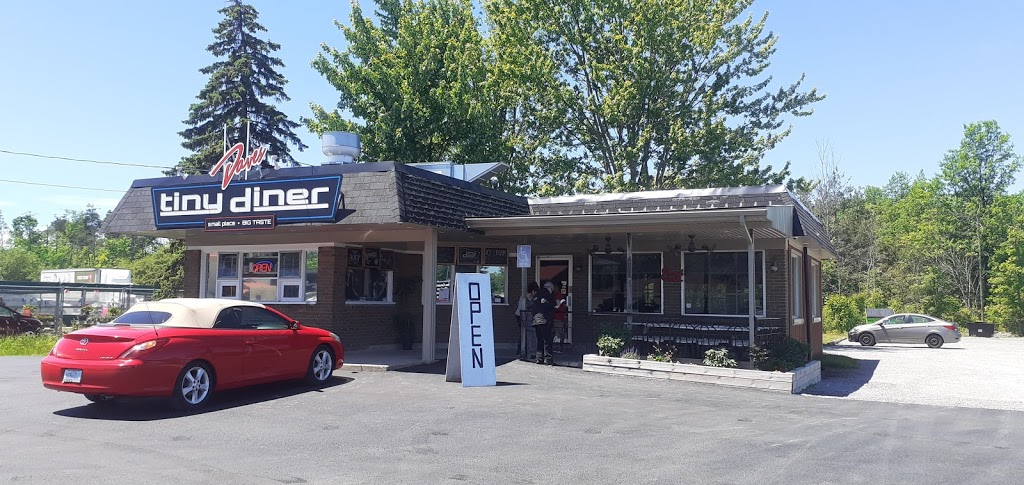 Daves Tiny Diner | 337 Gorham Rd, Ridgeway, ON L0S 1N0, Canada | Phone: (289) 876-9200