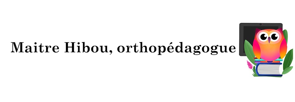 Master Hibou, Orthopédagogue | 156 Rue Philippe, Chertsey, QC J0K 3K0, Canada | Phone: (514) 972-1224