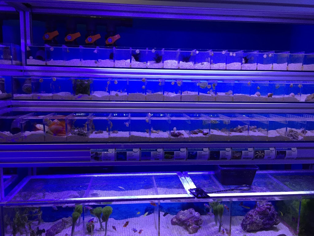 Canada Corals Inc. | 931 Brunette Ave, Coquitlam, BC V3K 6T5, Canada | Phone: (236) 313-3474