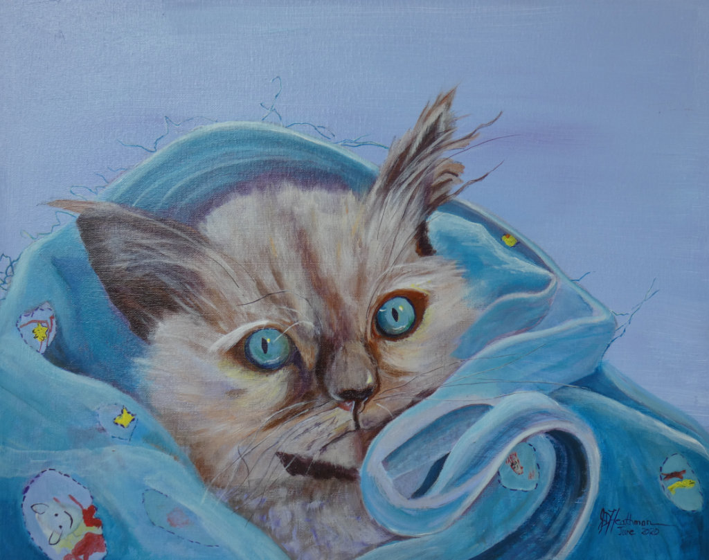 Chilliwack Valley Art | 46511 Chilliwack Lake Rd, Chilliwack, BC V2R 3S2, Canada | Phone: (604) 819-0315