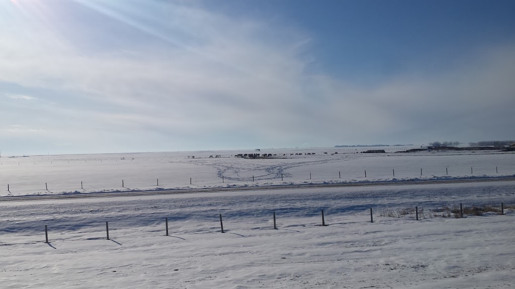 Prairie Sky Electric Limited | Box 46 Site 12 RR1, Didsbury, AB T0M 0W0, Canada | Phone: (403) 335-9686