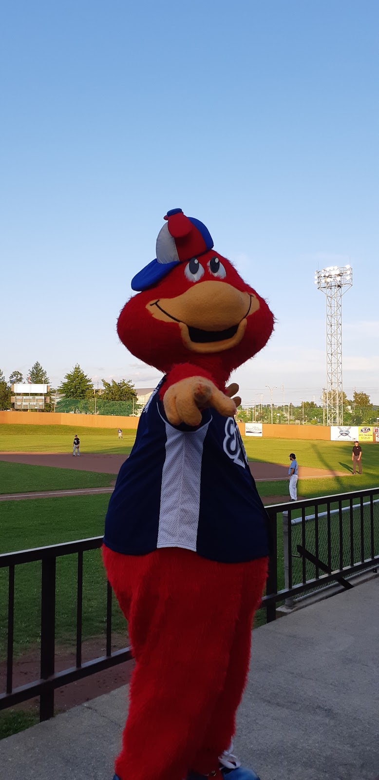 Amedée Roy Stadium | 600 Rue du Cégep, Sherbrooke, QC J1E 3T6, Canada | Phone: (819) 821-5885