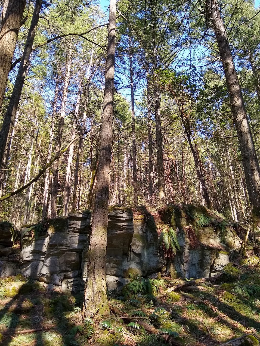 Horth Hill Regional Park | Willow Rd, North Saanich, BC V8L 5R3, Canada | Phone: (250) 478-3344