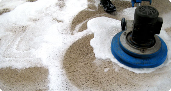 capitol Carpet cleaning services | 1 Whitmore Rd #30, Woodbridge, ON L4L 8G4, Canada | Phone: (416) 744-3400