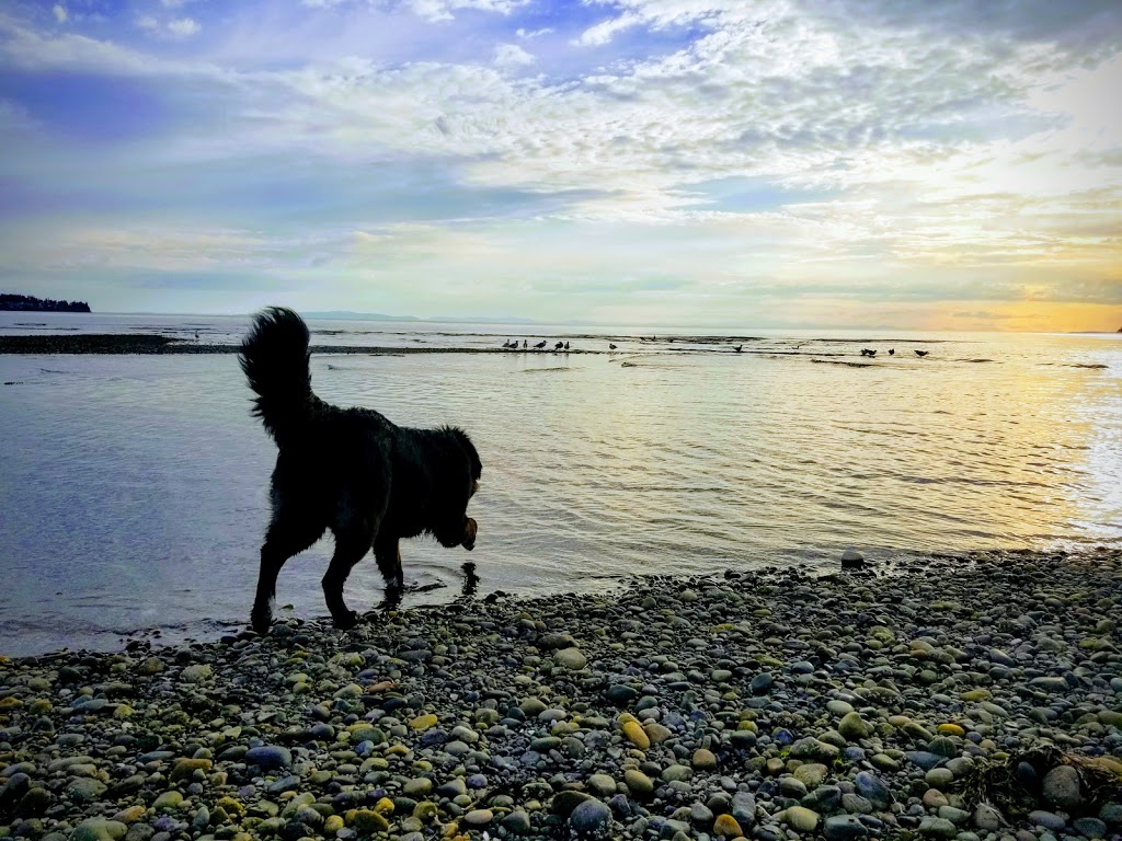 Birch Bay Leisure Park Association | 7704 Birch Bay Dr, Blaine, WA 98230, USA | Phone: (360) 371-7122