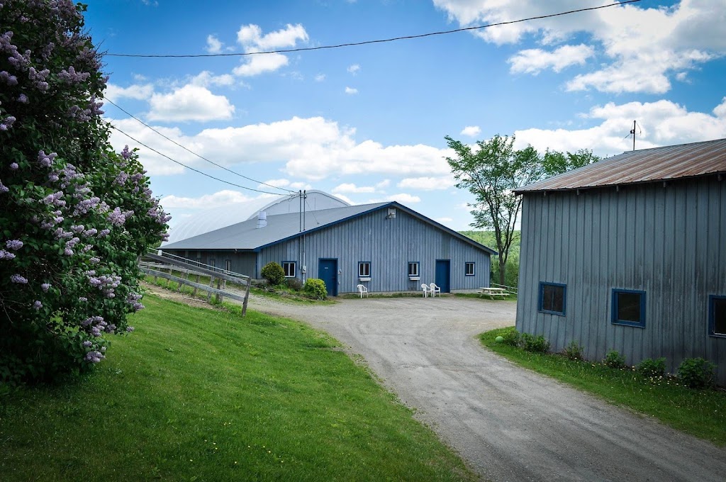 Écurie Andréane Stables | Chem. Dustin, Stanstead-Est, QC J0B 1C0, Canada | Phone: (819) 349-6912