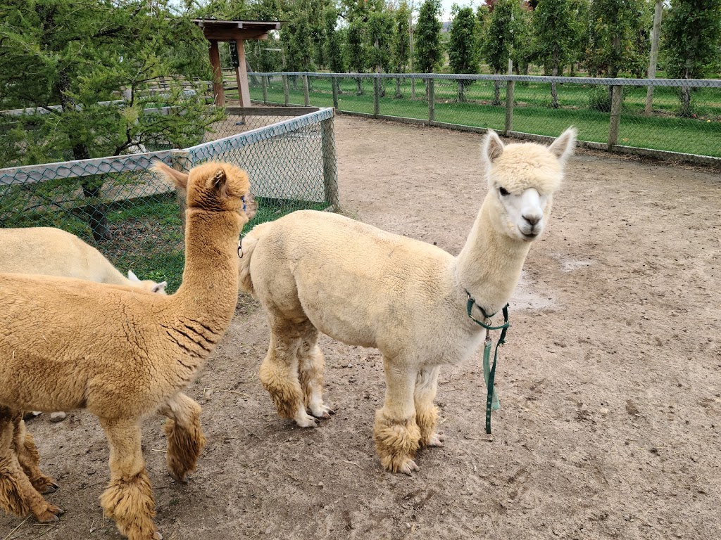 Chudleigh’s Entertainment Farm | 9528 Regional Rd 25, Milton, ON L9T 2X7, Canada | Phone: (905) 878-9547