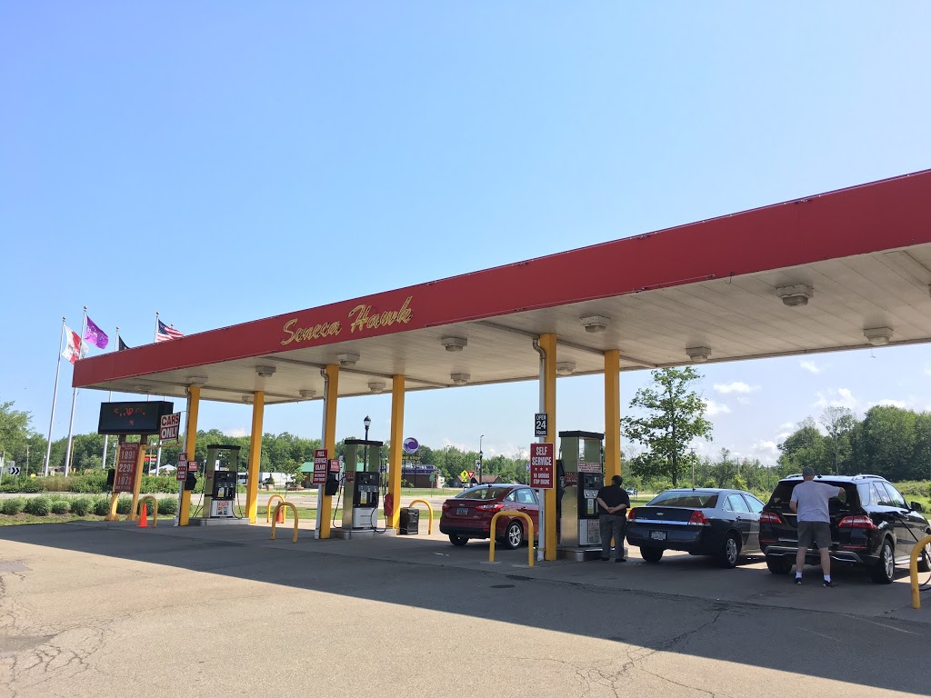 Seneca Hawk | 11979 Southwestern Blvd, Irving, NY 14081, USA | Phone: (716) 934-4219
