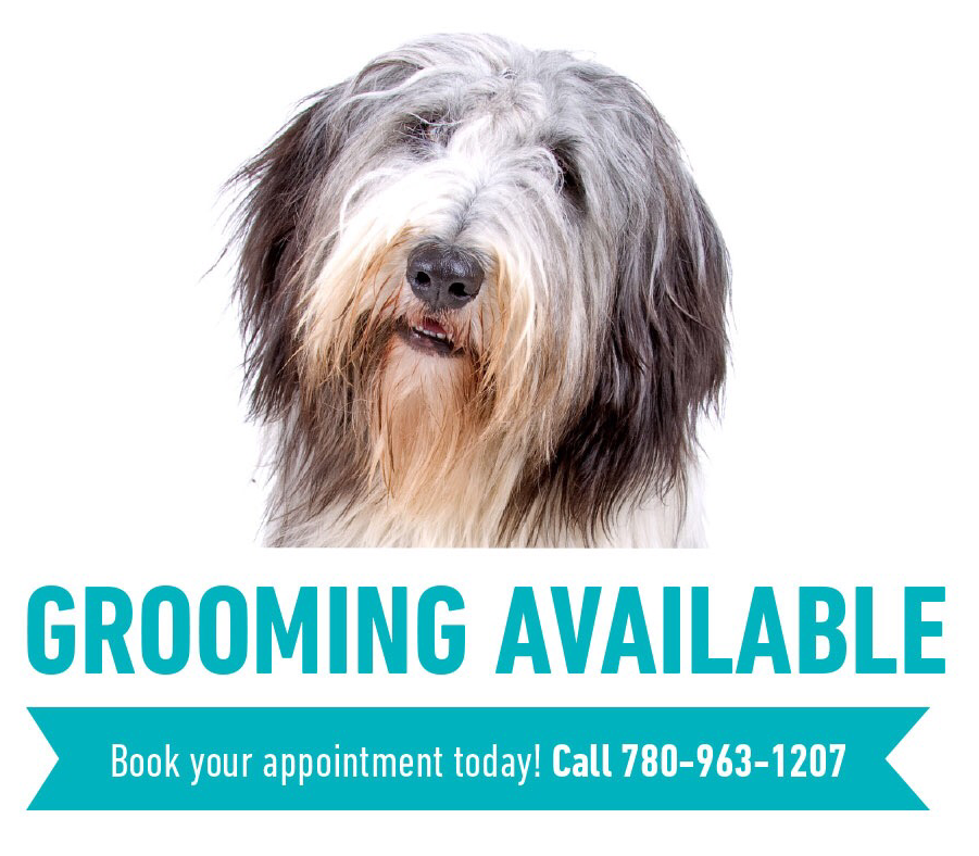 Groomingdales | 4410 48 St, Stony Plain, AB T7Z 1L4, Canada | Phone: (780) 963-1207
