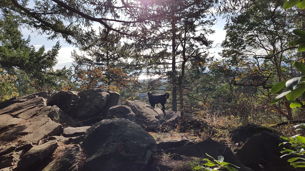 Horth Hill Regional Park | Willow Rd, North Saanich, BC V8L 5R3, Canada | Phone: (250) 478-3344
