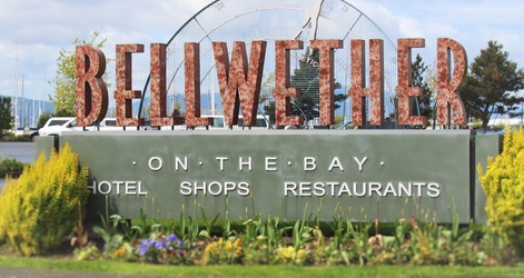 Bellingham Family Counseling | 12 Bellwether Way Suite 223 A, Bellingham, WA 98225, USA | Phone: (360) 325-1717