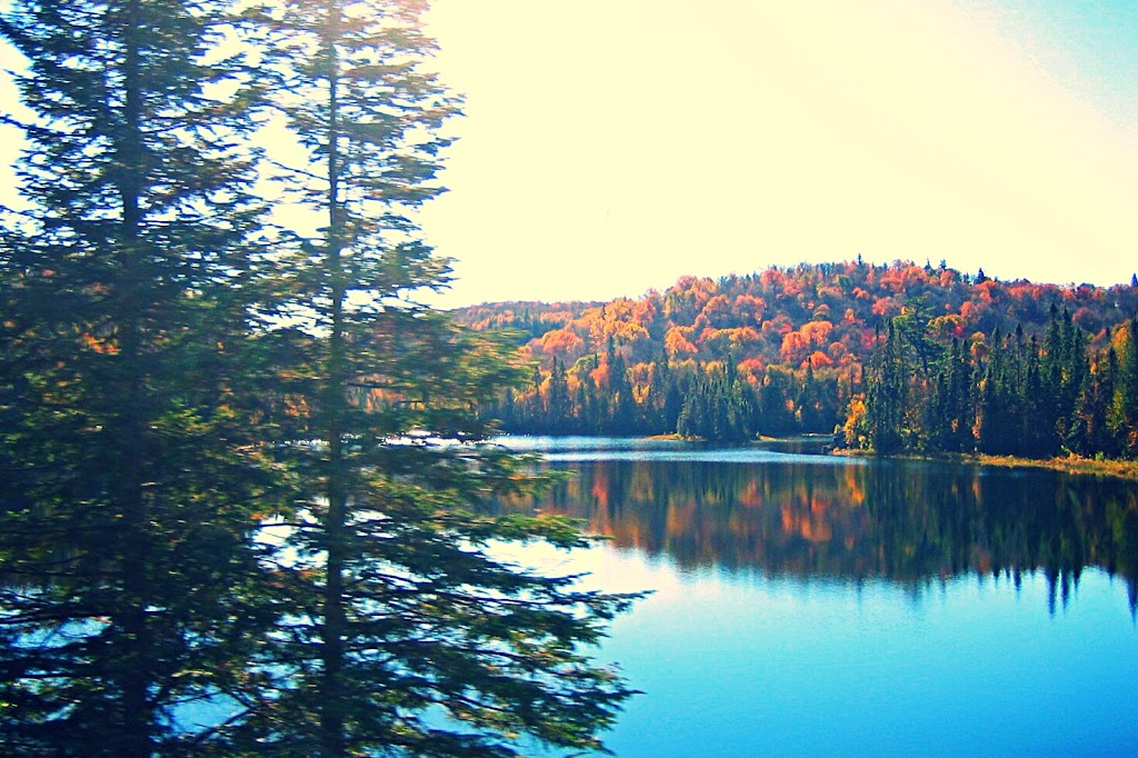 Gales Haven B&B | 135 Huron Dr, Tobermory, ON N0H 2R0, Canada | Phone: (416) 473-3871