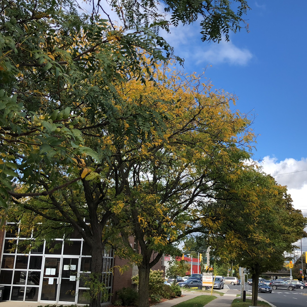 Brimley X-Ray , Ultrasound , BMD & Cardiology | 2020 Brimley Rd, Scarborough, ON M1S 4R7, Canada | Phone: (416) 299-7677