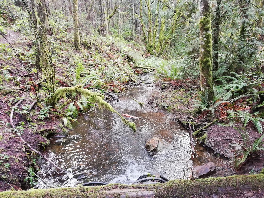 Metchosin Wilderness Park | 930 Clapham Dr, Victoria, BC V9C 4G5, Canada