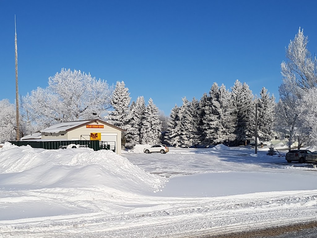 Earl Grey Veterinary Services | Assiniboia Ave, Earl Grey, SK S0G 1J0, Canada | Phone: (306) 939-2264