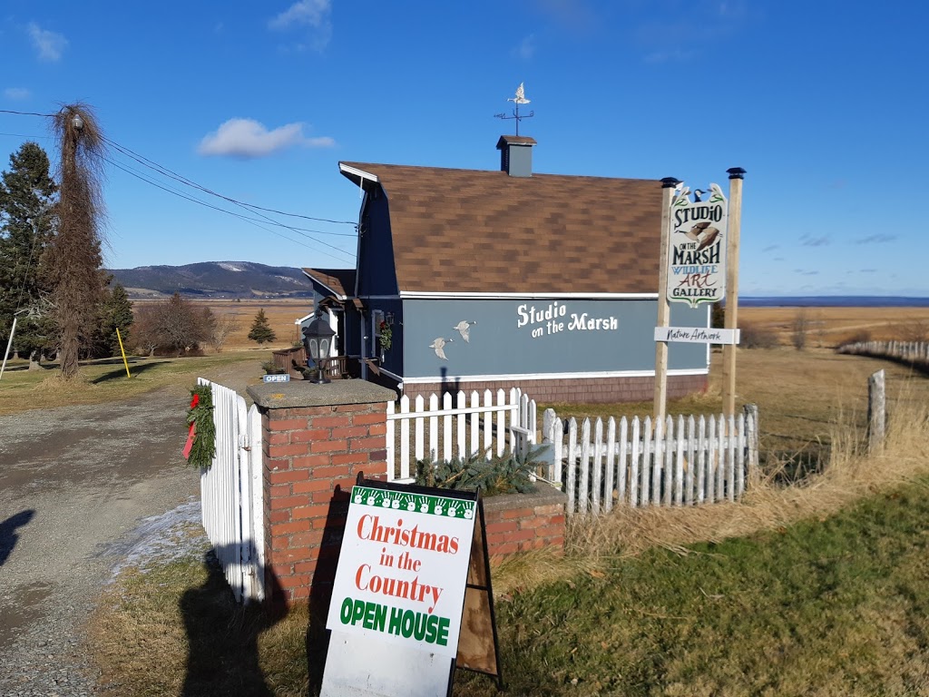 Studio On The Marsh | 255 Marys Point Rd, Harvey, NB E4H 2M8, Canada | Phone: (506) 882-2917