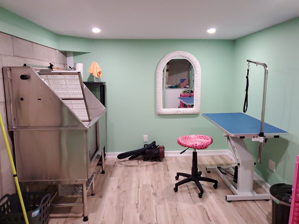 The Dapper Dog | 377 Campbell Dr, Arnprior, ON K7S 3G8, Canada | Phone: (613) 899-1771