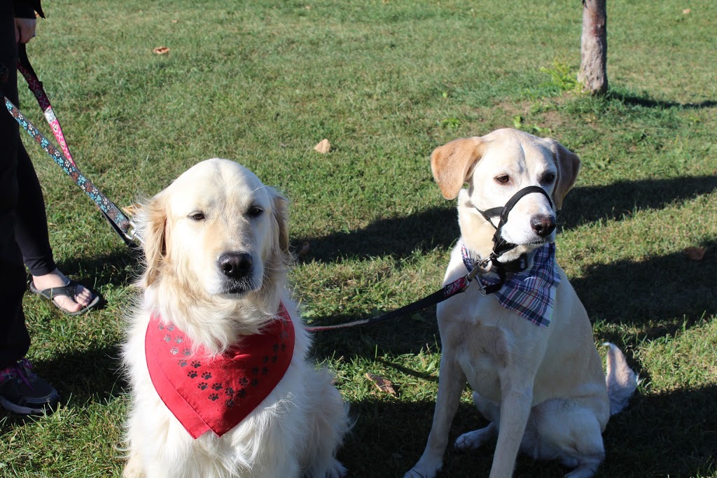 Taunton Road Animal Hospital | 1330 Townline Rd N, Oshawa, ON L1H 8L7, Canada | Phone: (905) 579-4040