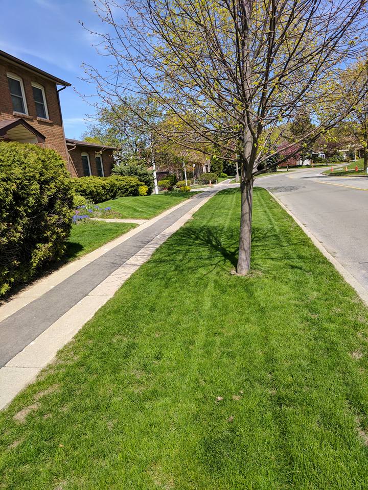 Timbers Property Maintenance & Snow Removal | 605 Finch Ave W #923, North York, ON M2R 1P1, Canada | Phone: (416) 827-8730