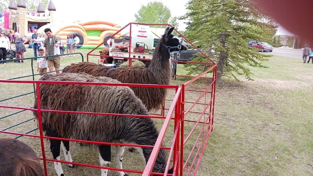 Turner Valley Town | 514 Windsor Ave NW, Turner Valley, AB T0L 2A0, Canada | Phone: (403) 933-4944