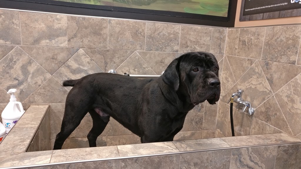 Pet Valu | 49A Superior St, Devon, AB T9G 1K8, Canada | Phone: (780) 987-2031