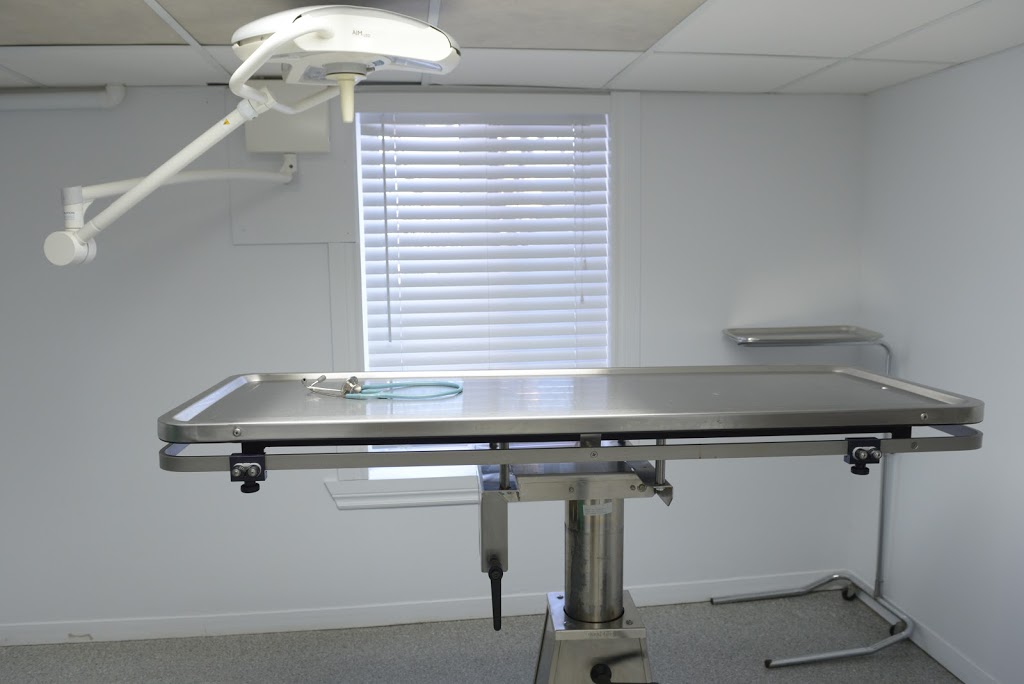 Clinique vétérinaire Cimon | 454 Rue Racine, Québec, QC G2B 1G4, Canada | Phone: (418) 842-6933