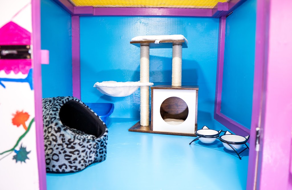 Halifax Kitty Hotel | 23 Robert Dr, Dartmouth, NS B2W 2A1, Canada | Phone: (902) 989-7297