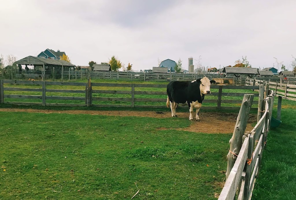 Mathurin Farm | 170 route 132 est, Saint-Michel-de-Bellechasse, QC G0R 3S0, Canada | Phone: (418) 571-3194